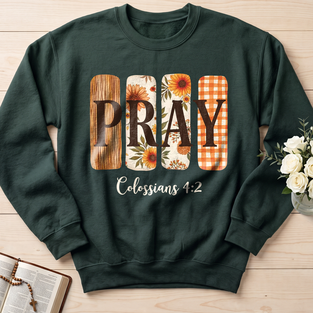 Pray Colossians 4.2 01
