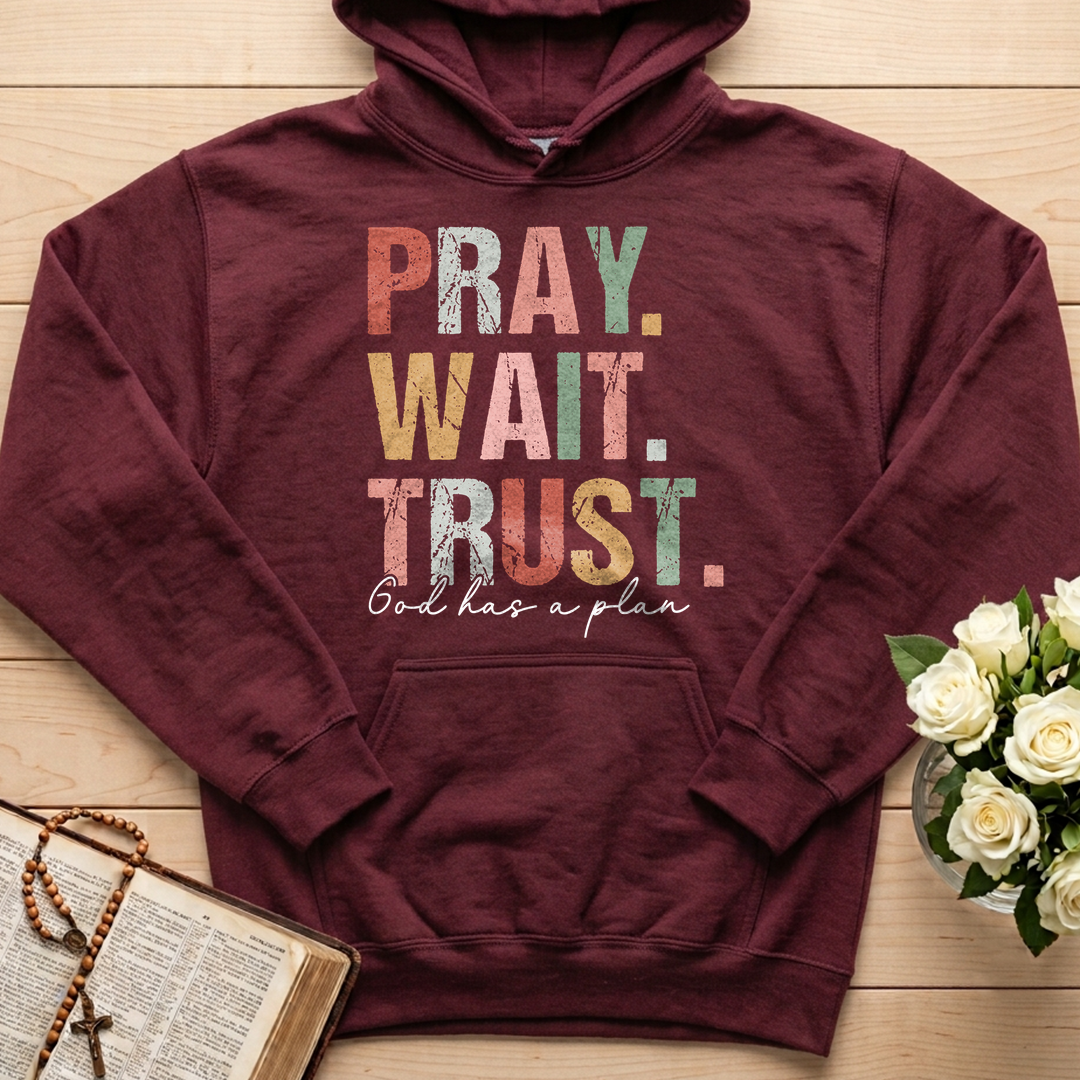 Pray Wait Trust God Has A Plan 02