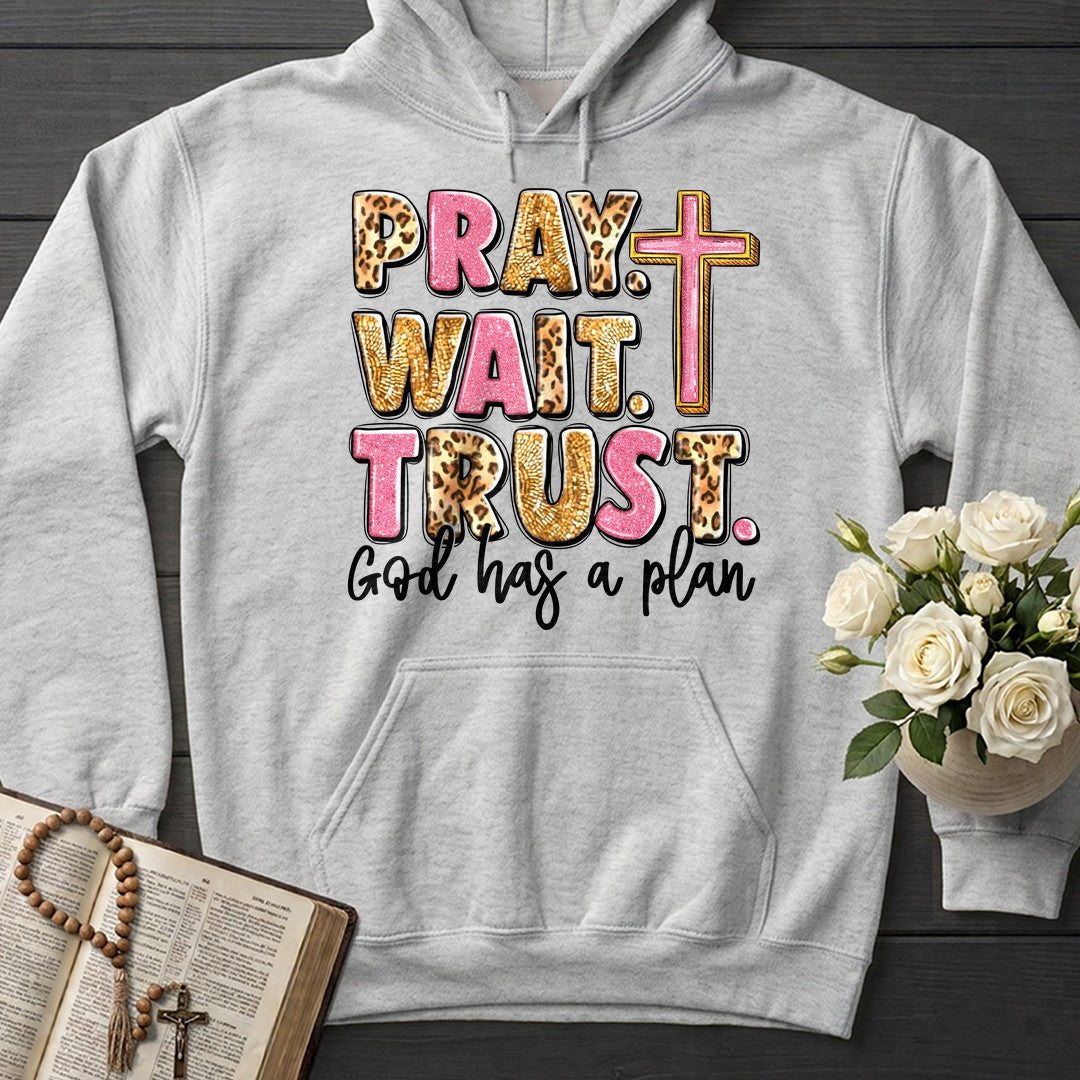 Pray Wait Trust God Has A Plan 04