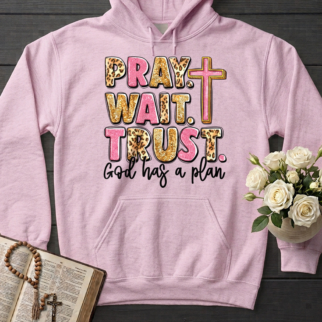 Pray Wait Trust God Has A Plan 04