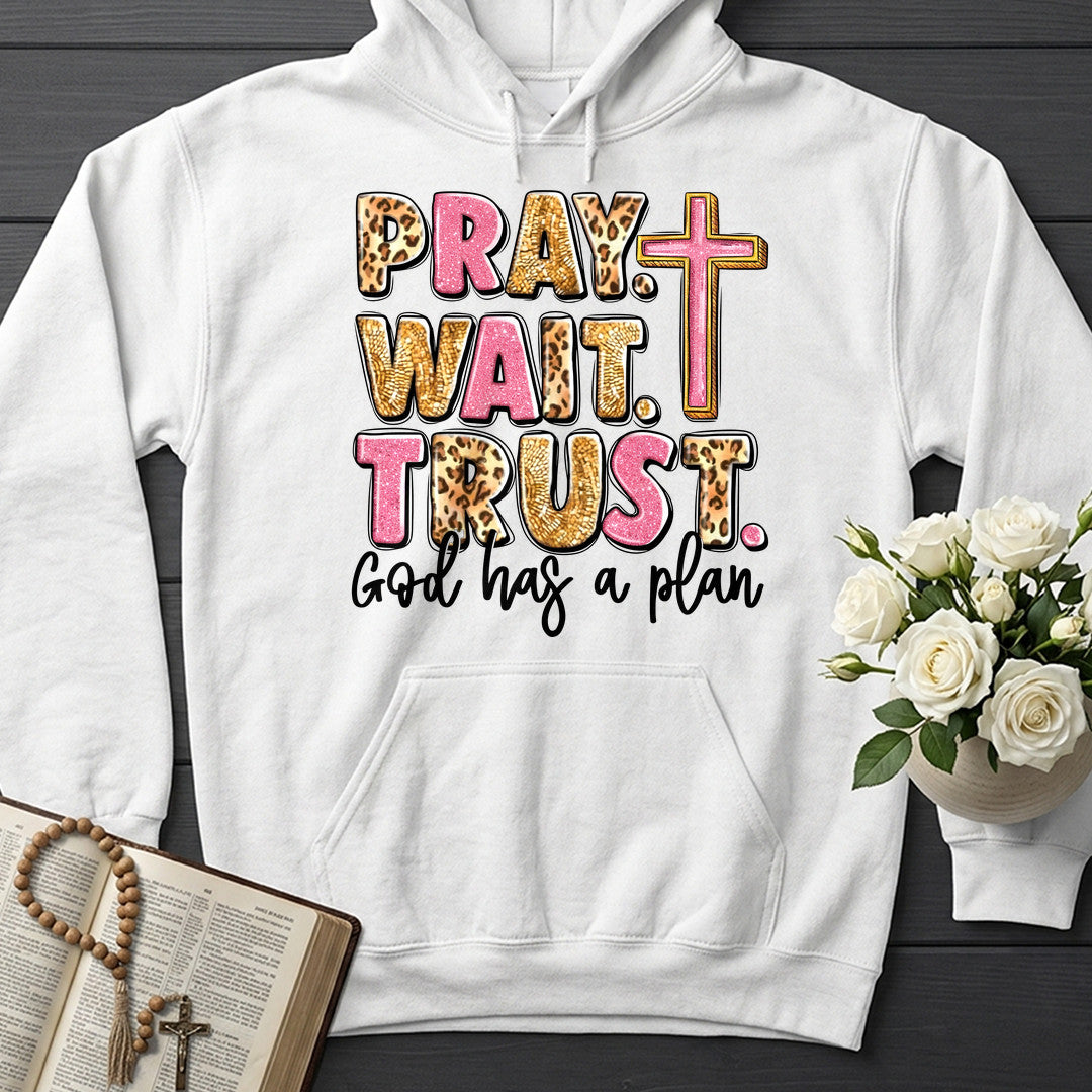Pray Wait Trust God Has A Plan 04