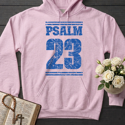 Psalm 23 01