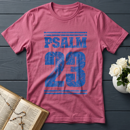 Psalm 23 01