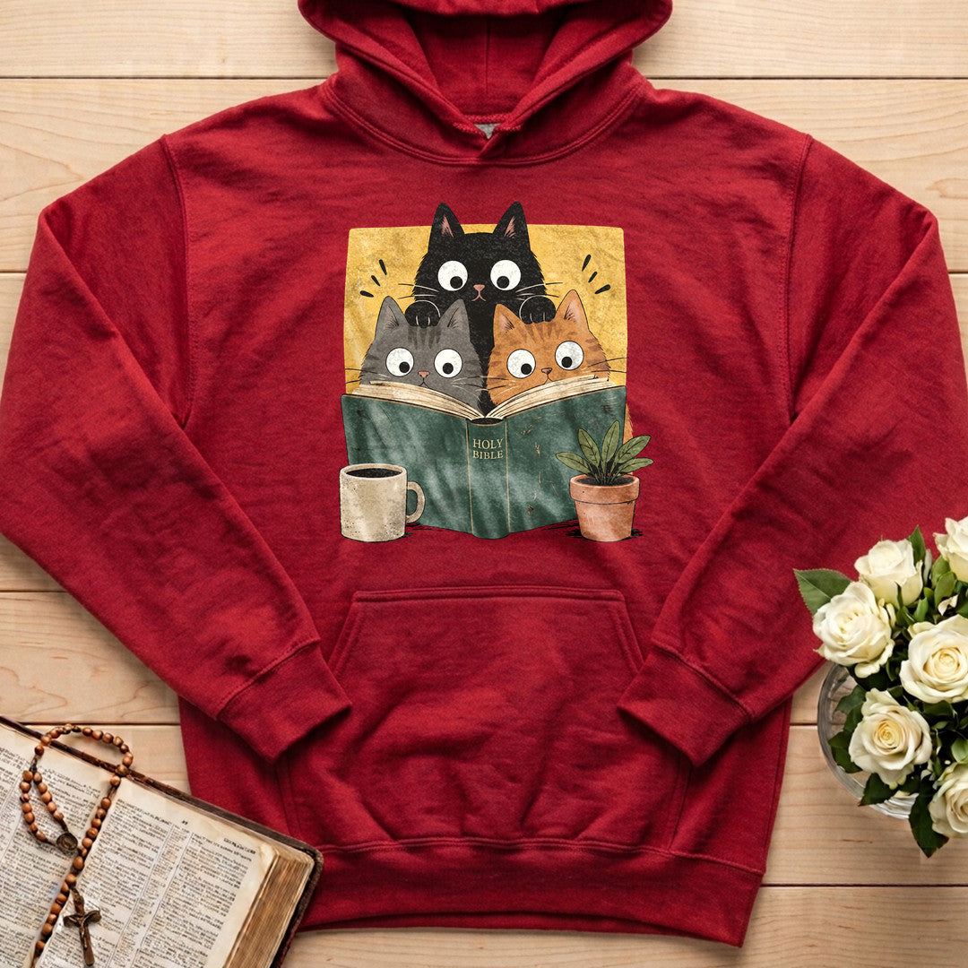 Reading Cats 01