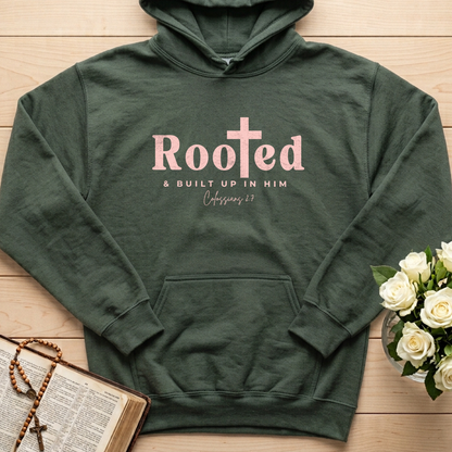 Rooted And Built Up In Him Colossians 2.7 01