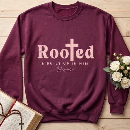 Rooted And Built Up In Him Colossians 2.7 01