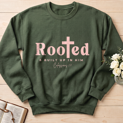 Rooted And Built Up In Him Colossians 2.7 01