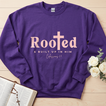 Rooted And Built Up In Him Colossians 2.7 01