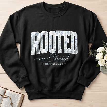 Rooted In Christ Colossians 2.7 02