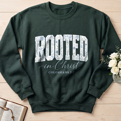 Rooted In Christ Colossians 2.7 02