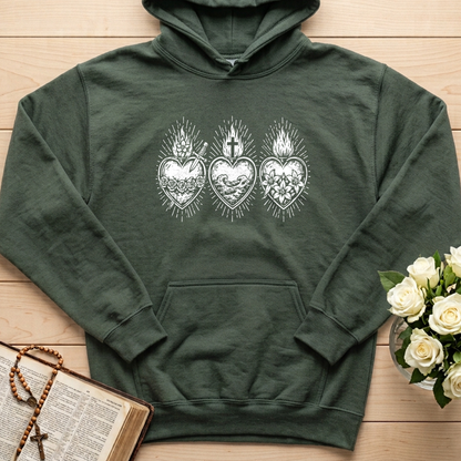 Sacred Heart Jesus 04