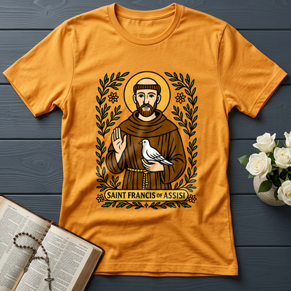 Saint Francis Of Assisi 01