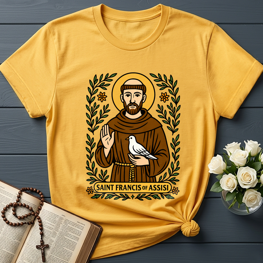 Saint Francis Of Assisi 01