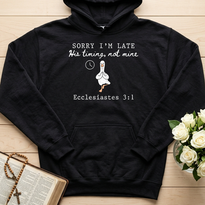 Sorry I'm Late His Timing, Not Mine Ecclesiastes 3.1 03
