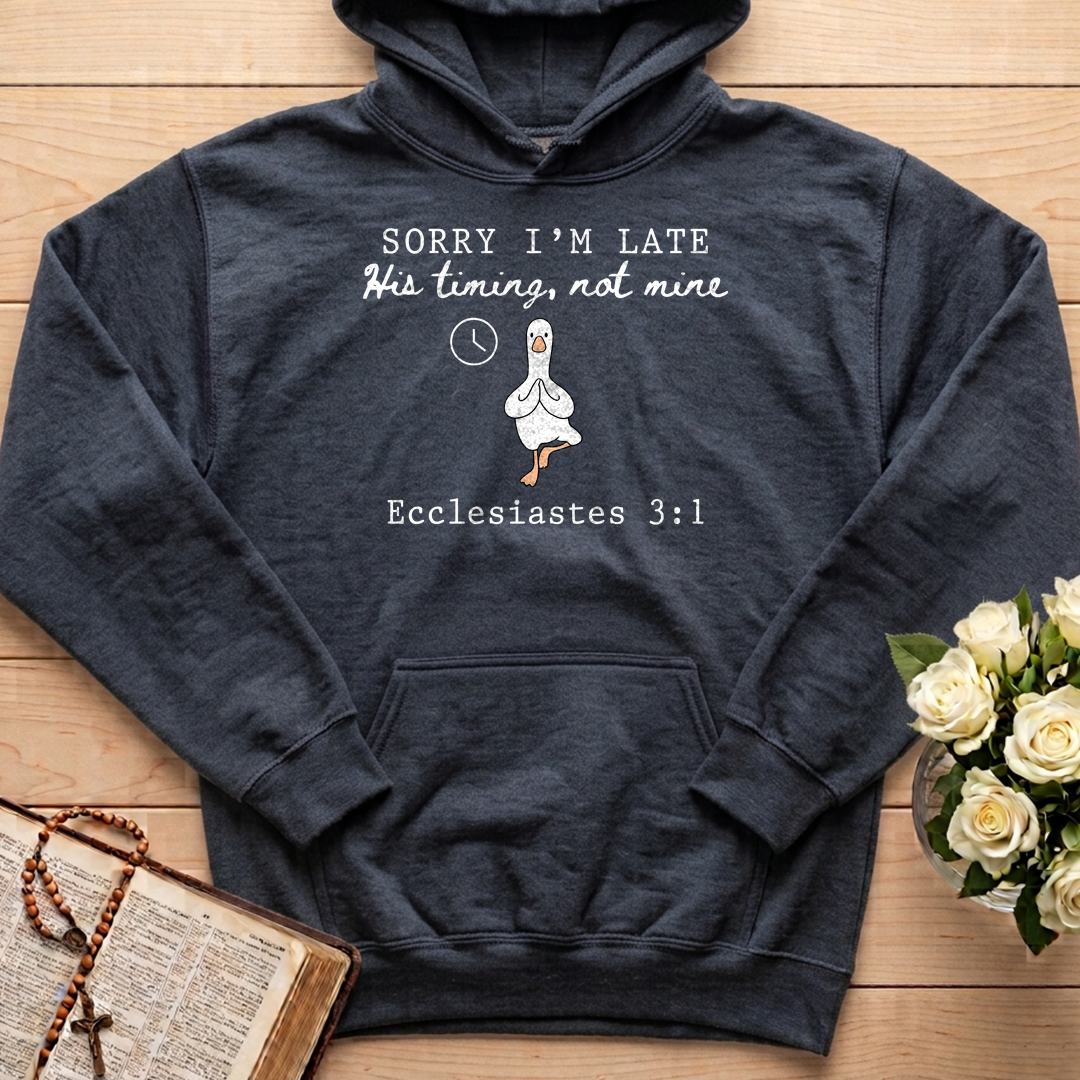 Sorry I'm Late His Timing, Not Mine Ecclesiastes 3.1 03