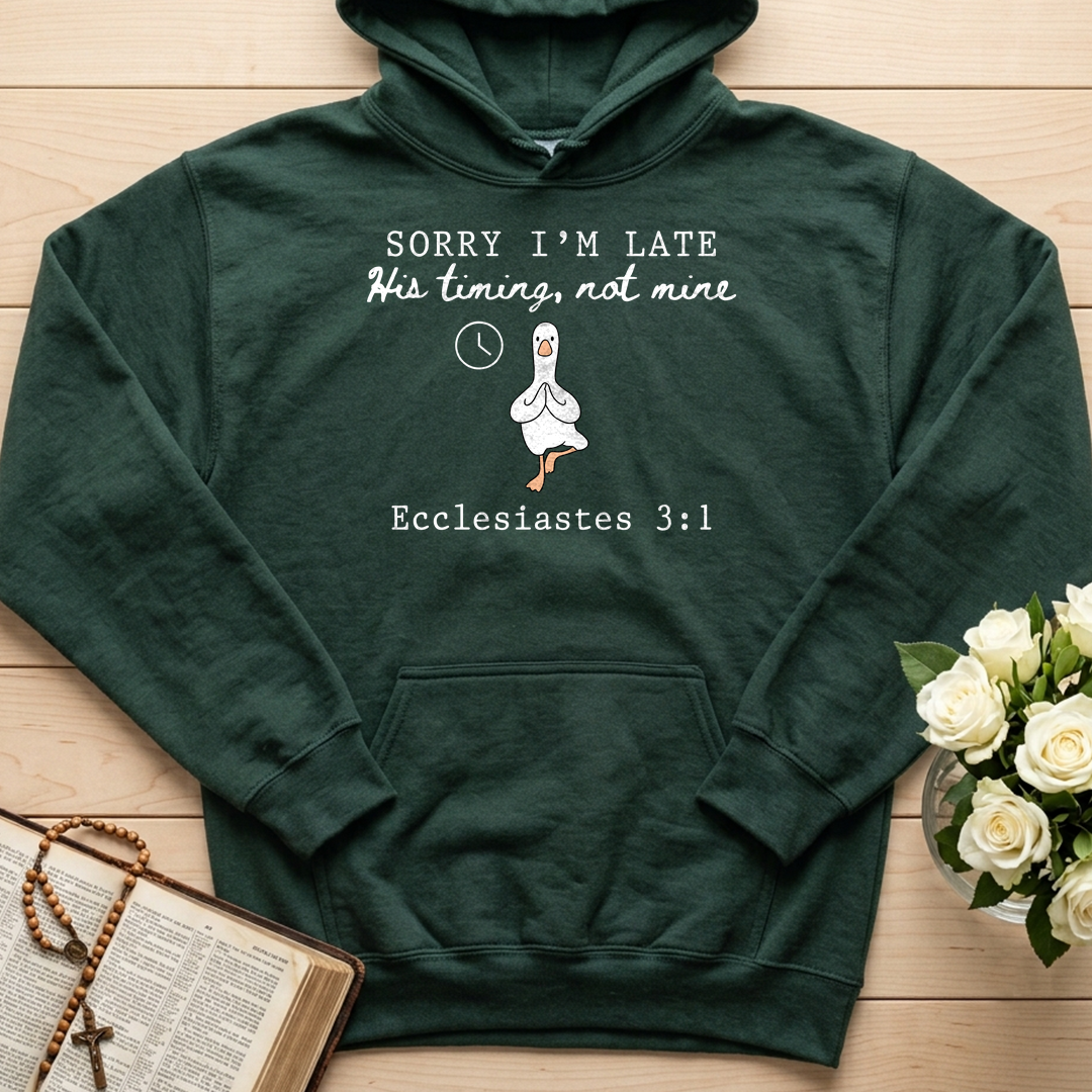 Sorry I'm Late His Timing, Not Mine Ecclesiastes 3.1 03