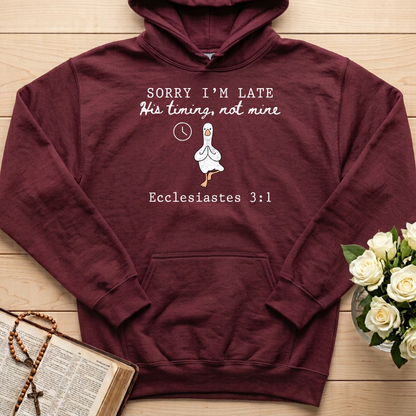Sorry I'm Late His Timing, Not Mine Ecclesiastes 3.1 03
