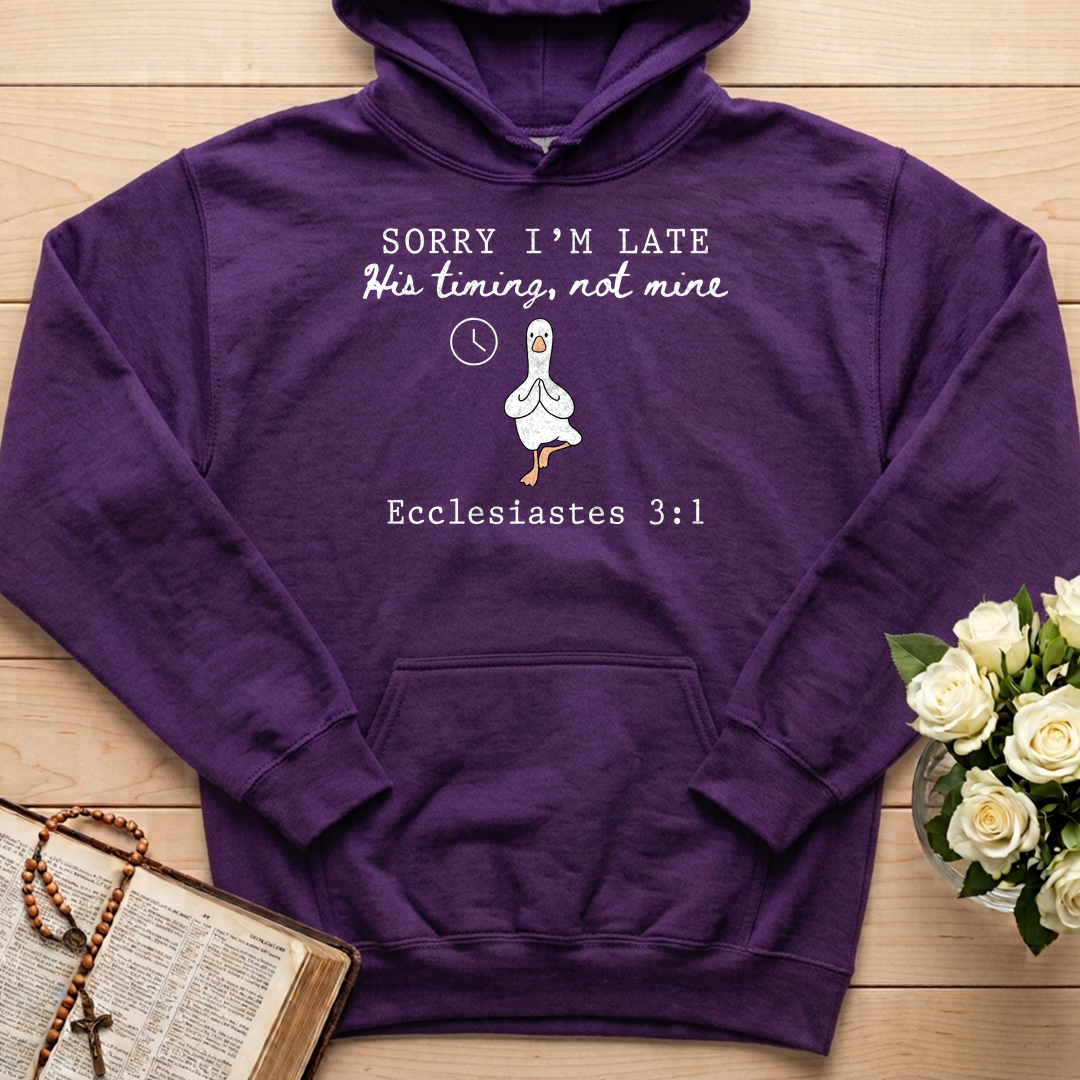Sorry I'm Late His Timing, Not Mine Ecclesiastes 3.1 03