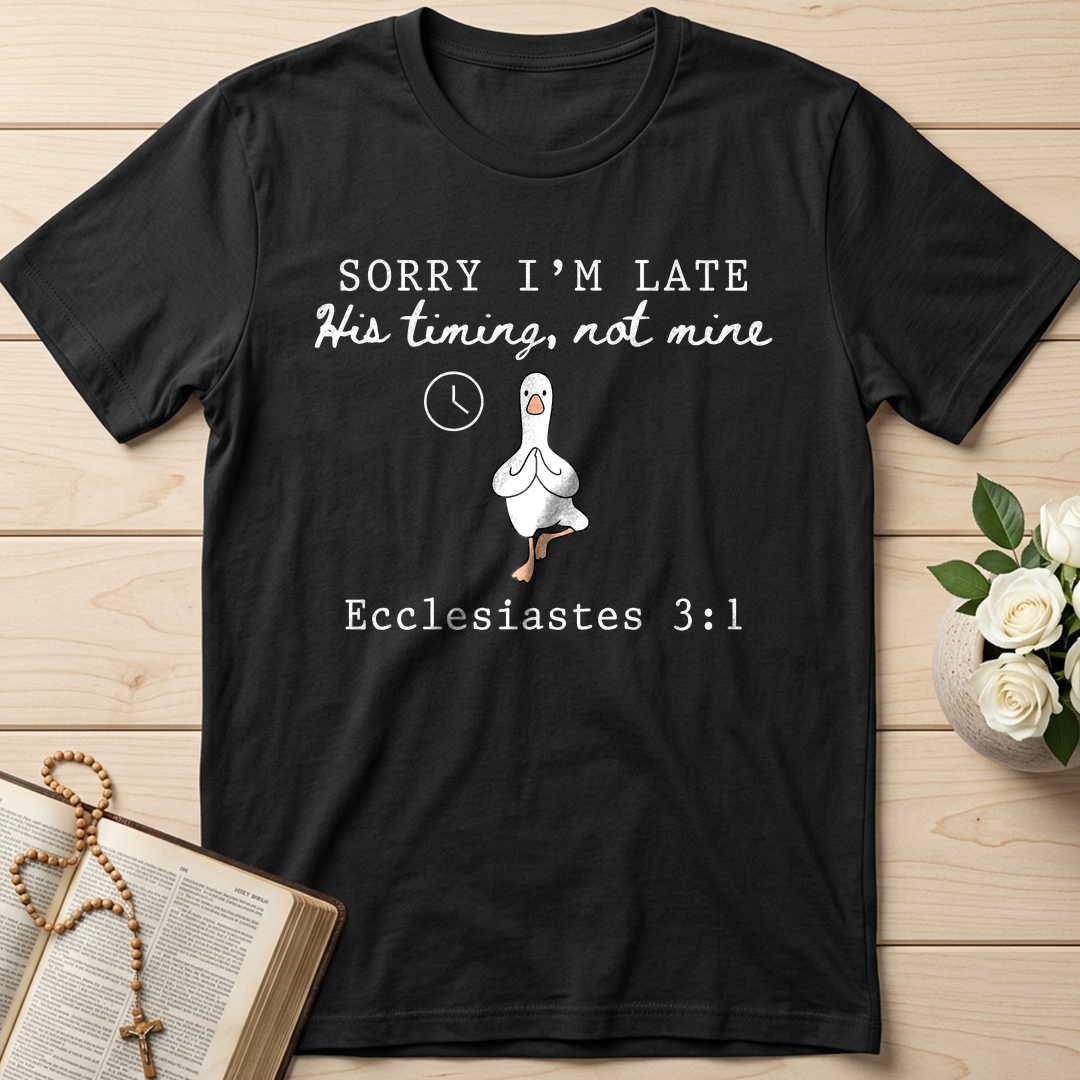 Sorry I'm Late His Timing, Not Mine Ecclesiastes 3.1 03