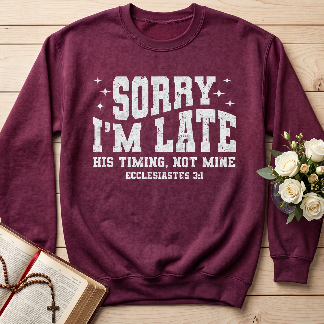 Sorry I'm Late His Timing Not Mine Ecclesiastes 3.1 04