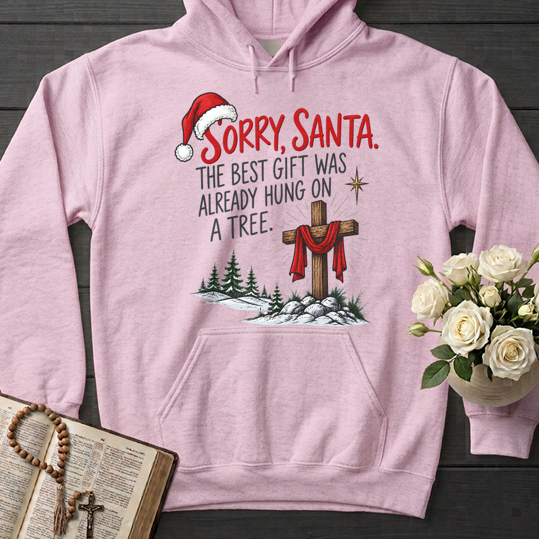 Sorry Santa The Best Gift Was Already Hung On A Tree 01