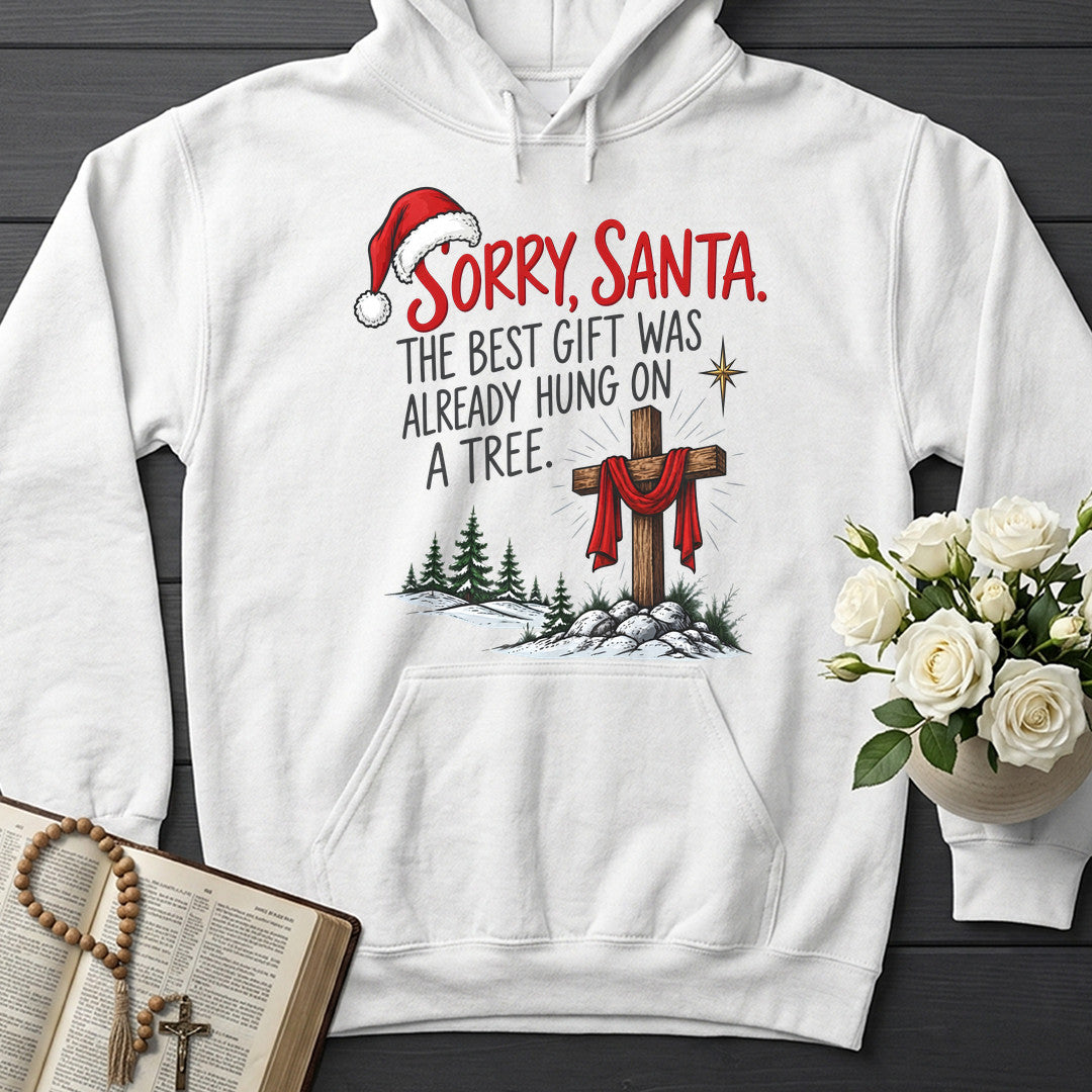 Sorry Santa The Best Gift Was Already Hung On A Tree 01