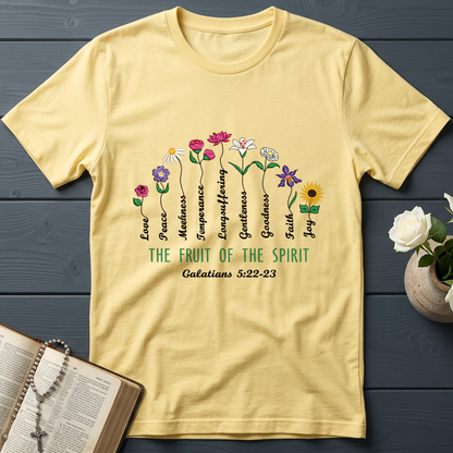 The Fruit Of The Spirit Galatians 5.22-23 02