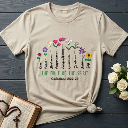 The Fruit Of The Spirit Galatians 5.22-23 02