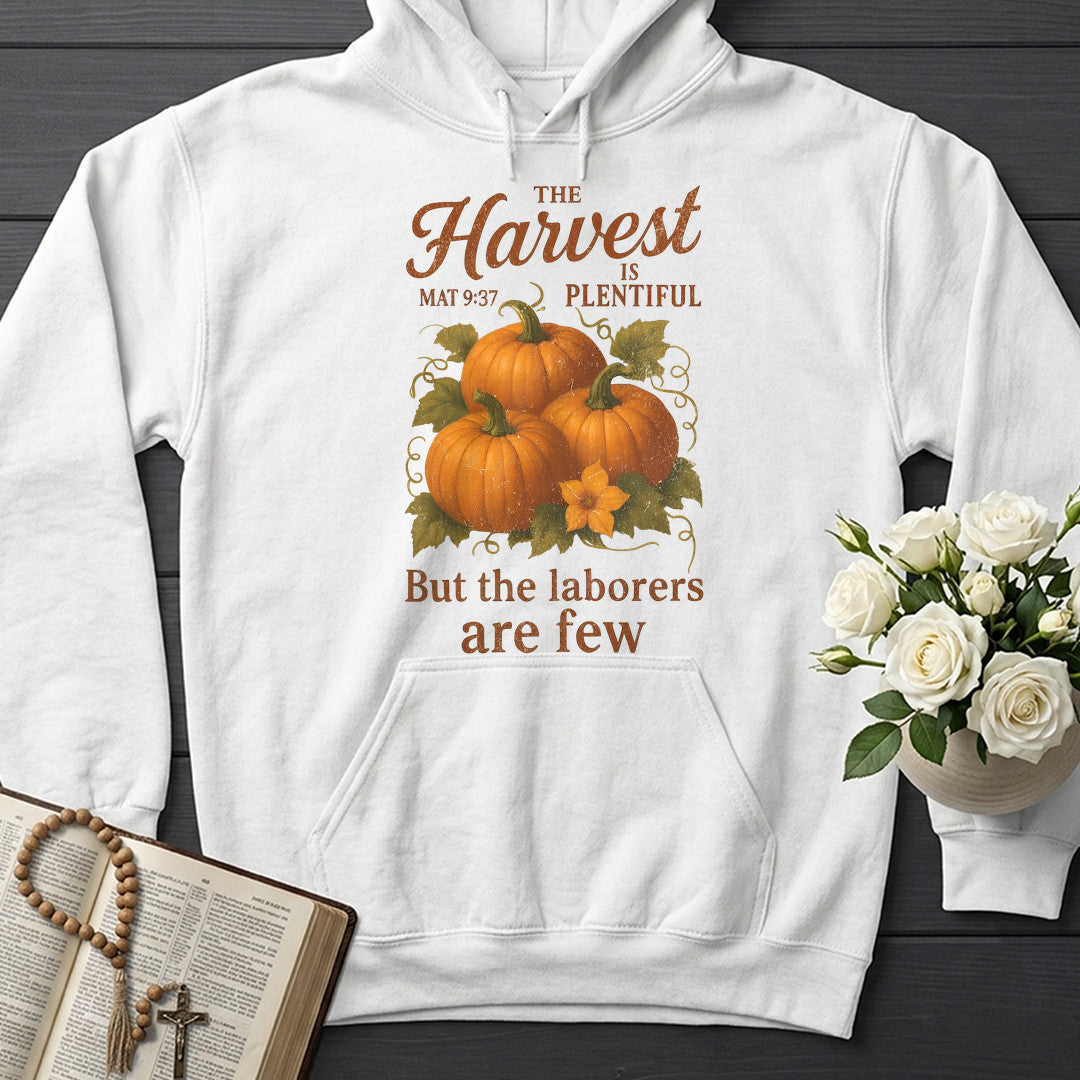 The Harvest Is Plentiful But The Laborers Are Few Mat 9.37 03