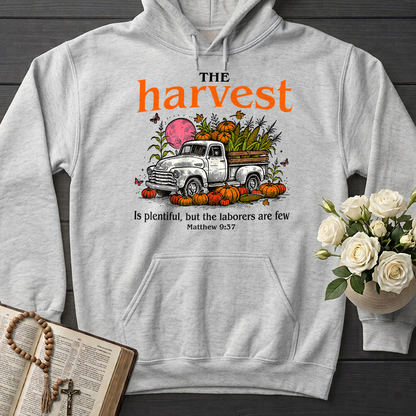 The Harvest Is Plentiful But The Laborers Are Few Matthew 9.37 01