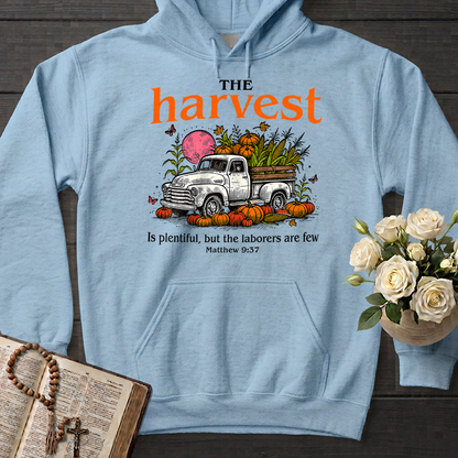 The Harvest Is Plentiful But The Laborers Are Few Matthew 9.37 01