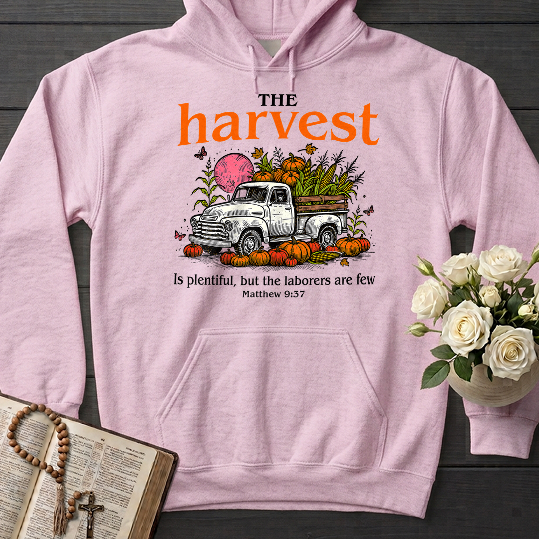 The Harvest Is Plentiful But The Laborers Are Few Matthew 9.37 01