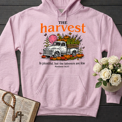 The Harvest Is Plentiful But The Laborers Are Few Matthew 9.37 01