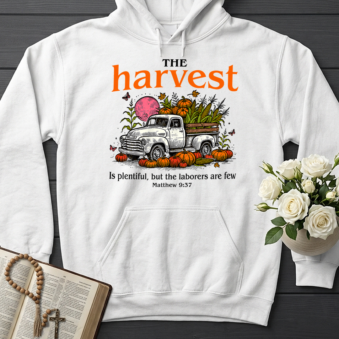 The Harvest Is Plentiful But The Laborers Are Few Matthew 9.37 01