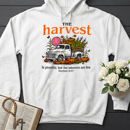 The Harvest Is Plentiful But The Laborers Are Few Matthew 9.37 01