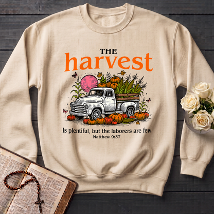 The Harvest Is Plentiful But The Laborers Are Few Matthew 9.37 01
