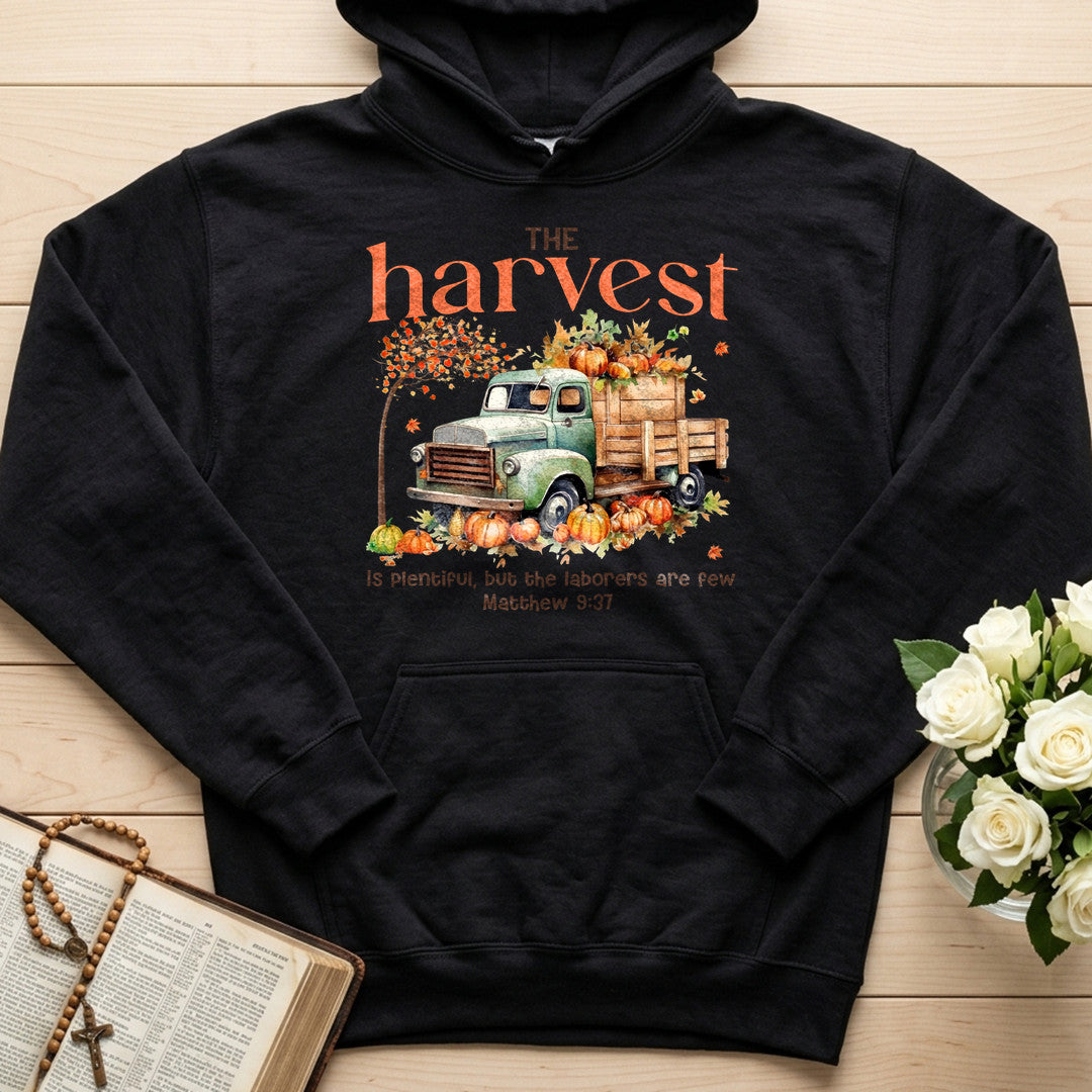 The Harvest Is Plentiful But The Laborers Are Few Matthew 9.37 02