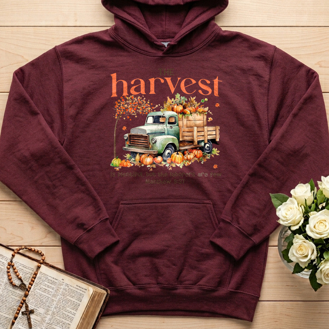 The Harvest Is Plentiful But The Laborers Are Few Matthew 9.37 02