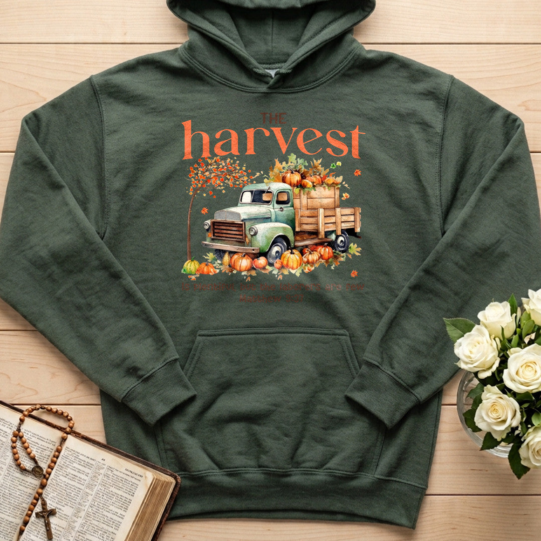 The Harvest Is Plentiful But The Laborers Are Few Matthew 9.37 02