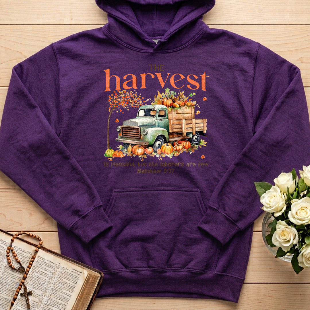 The Harvest Is Plentiful But The Laborers Are Few Matthew 9.37 02