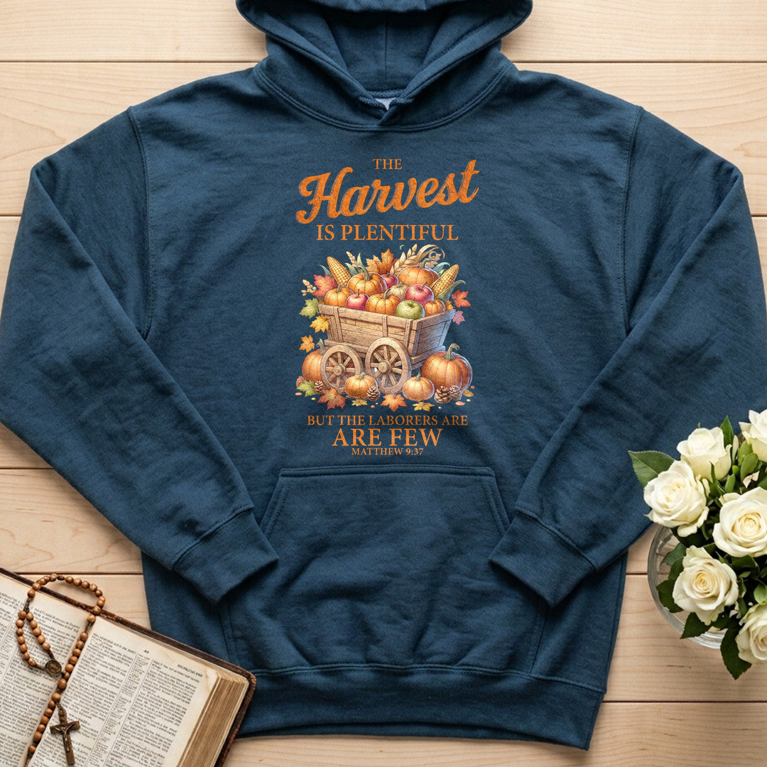 The Harvest Is Plentiful But The Laborers Are Few Matthew 9.37 03