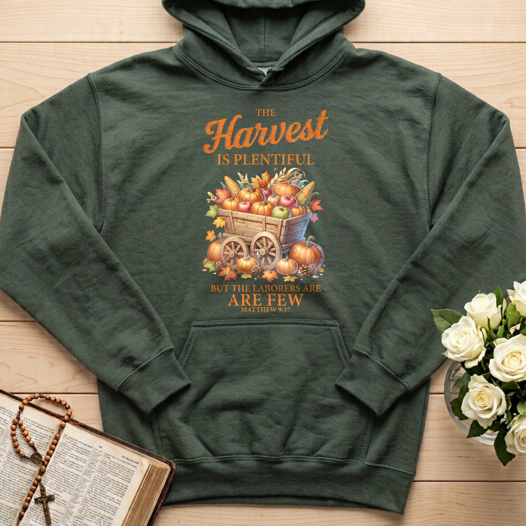 The Harvest Is Plentiful But The Laborers Are Few Matthew 9.37 03