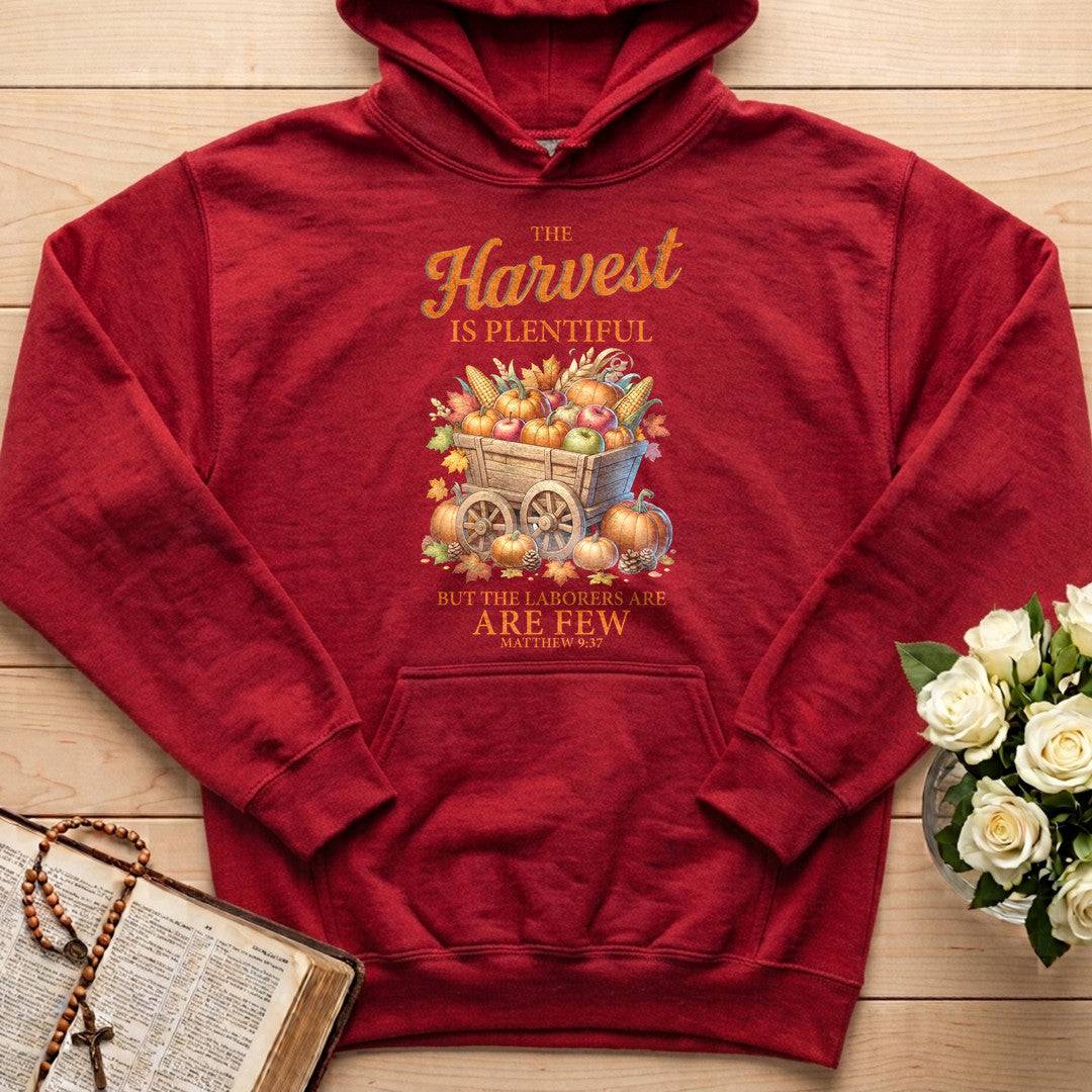 The Harvest Is Plentiful But The Laborers Are Few Matthew 9.37 03