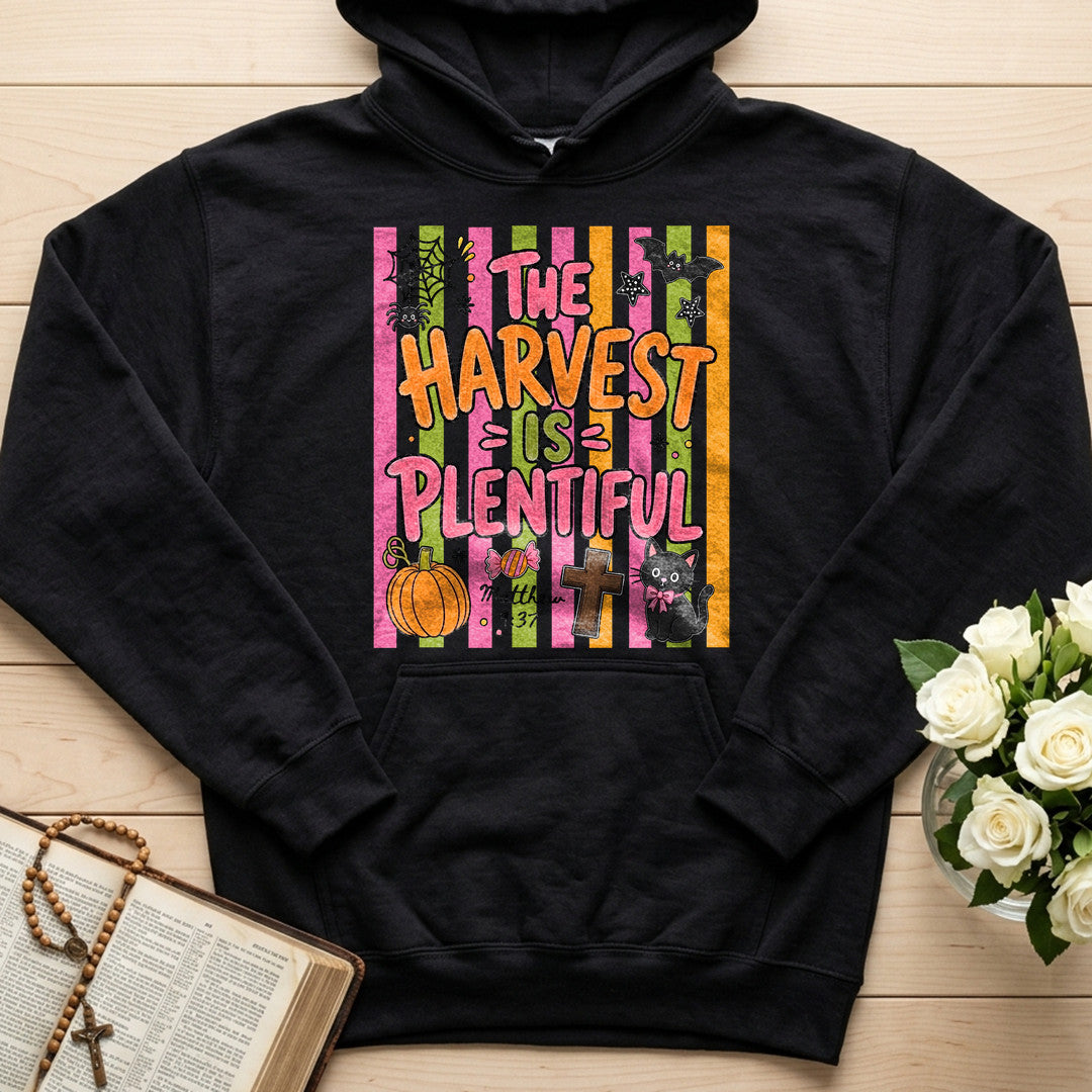 The Harvest Is Plentiful Matthew 9.37 01
