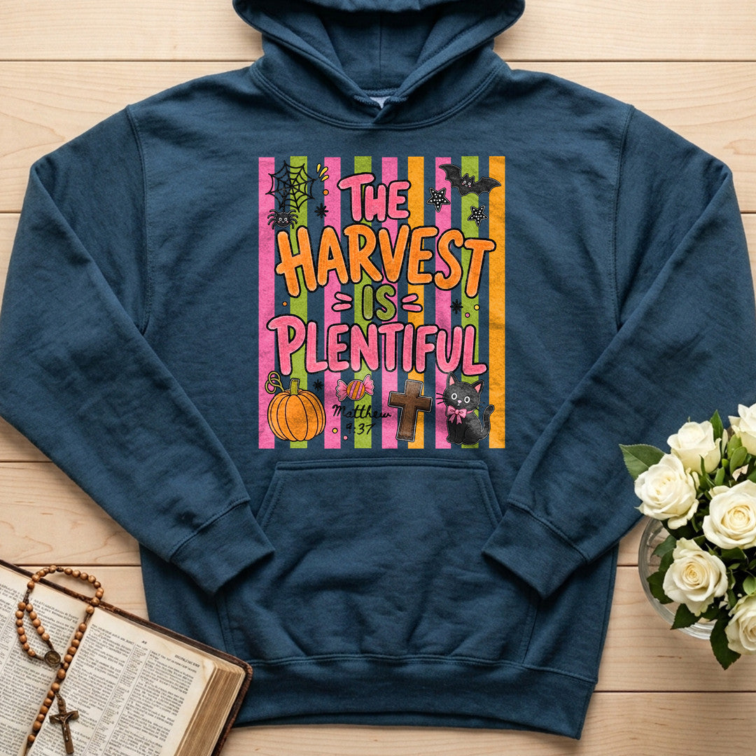 The Harvest Is Plentiful Matthew 9.37 01
