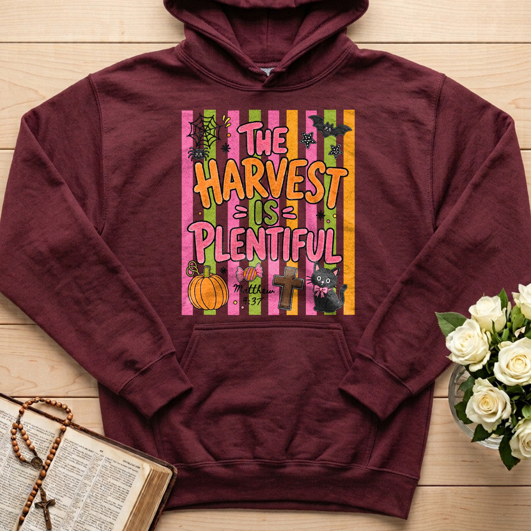 The Harvest Is Plentiful Matthew 9.37 01