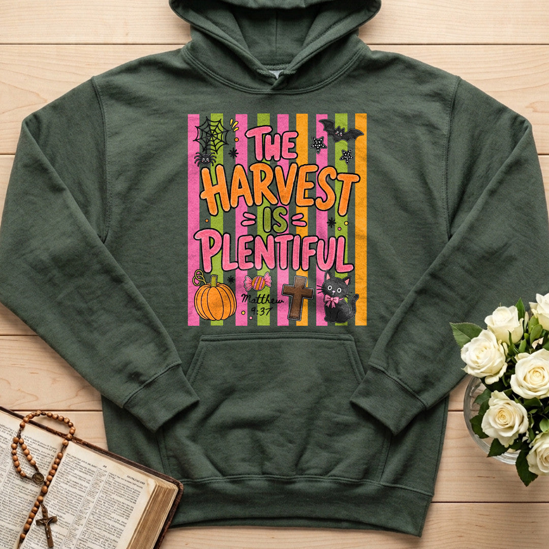 The Harvest Is Plentiful Matthew 9.37 01