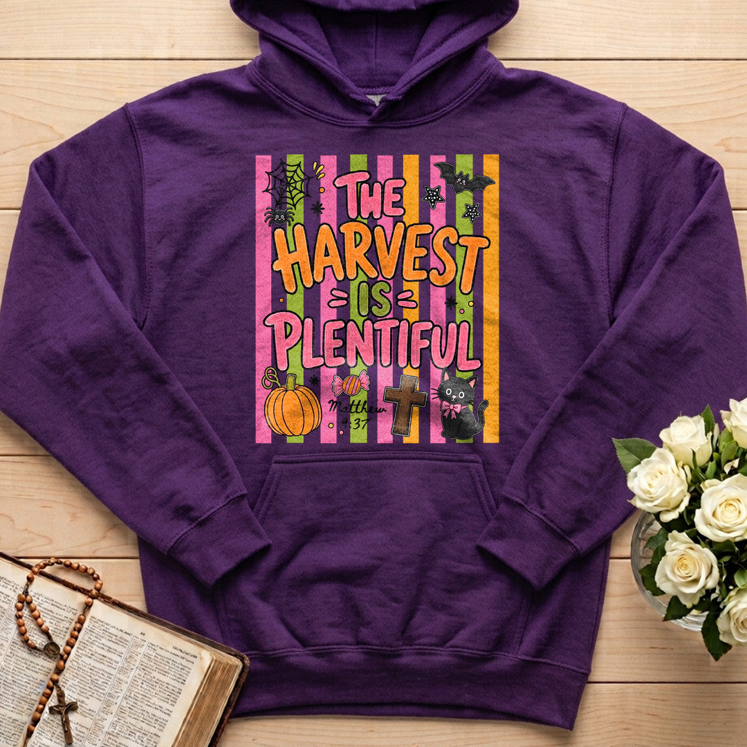 The Harvest Is Plentiful Matthew 9.37 01