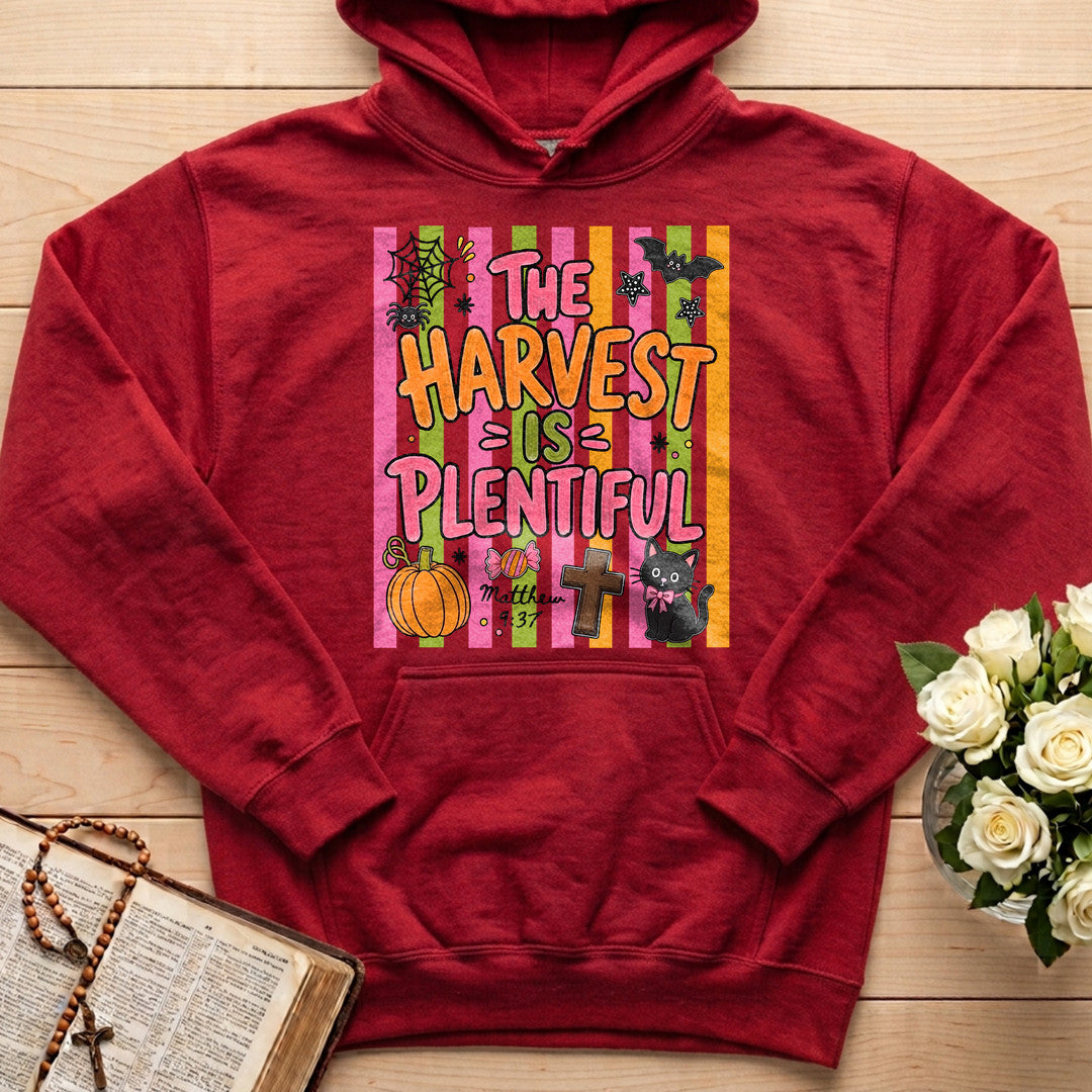 The Harvest Is Plentiful Matthew 9.37 01