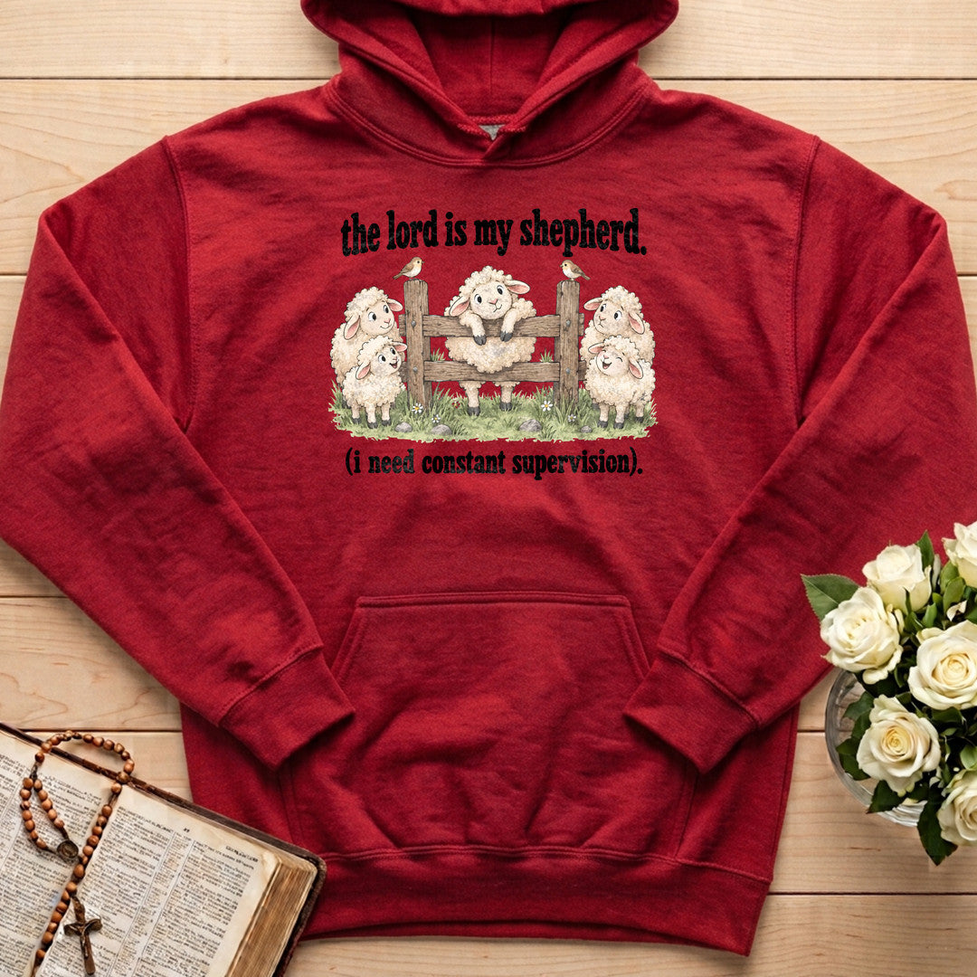 The Lord Is My Shepherd I Need Constant Supervision 04
